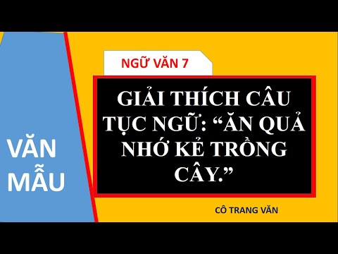 Video GIẢI THÍCH Ý NGHĨA CÂU TỤC NGỮ: ĂN QUẢ NHỚ KẺ TRÔNG... - youtube