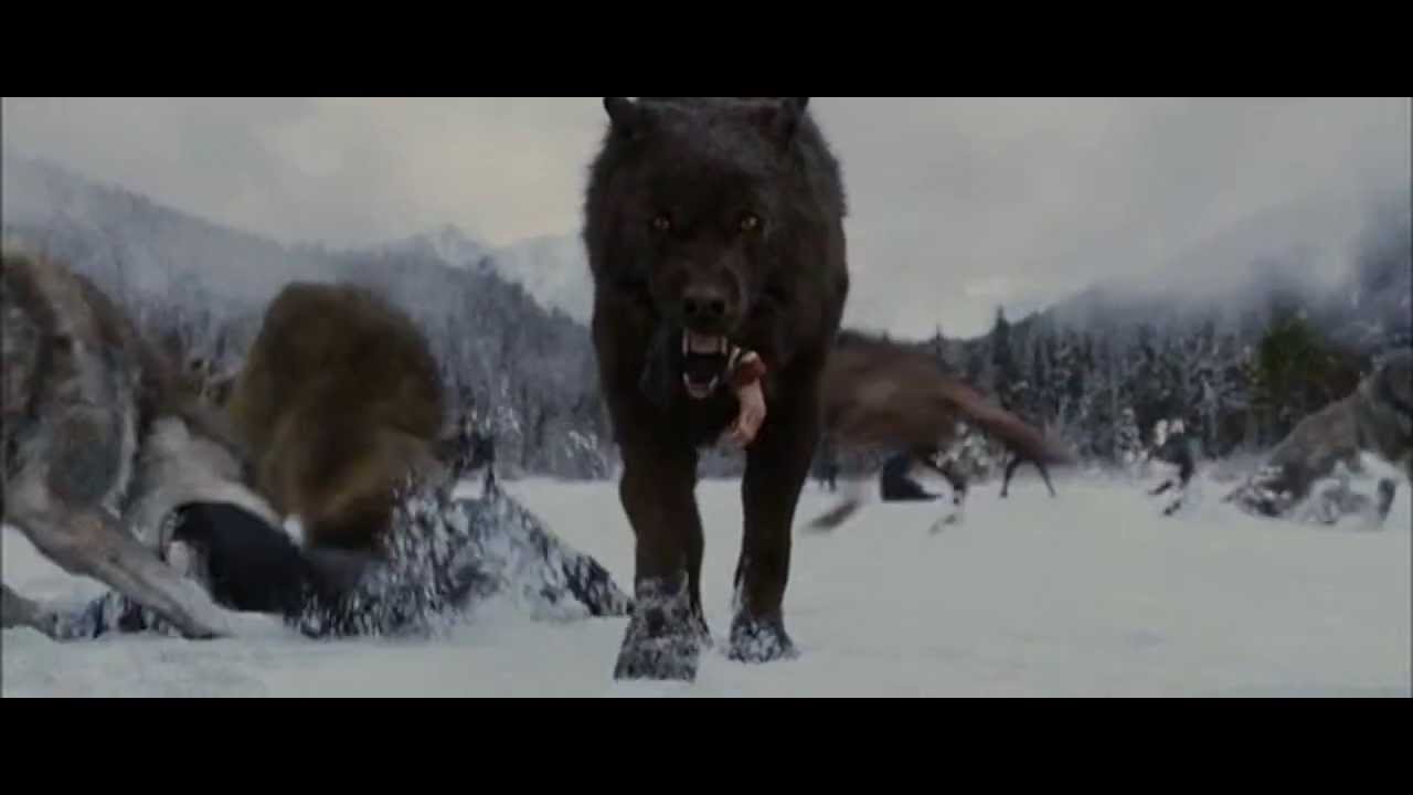 Клип -  Сумерки 4 