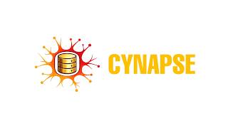 Cynapse v1.0.0 | Demo screenshot 4