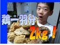 2キロのから揚げ&フライドチキンです!コストコの鶏一羽で作ったら食べ放題?!