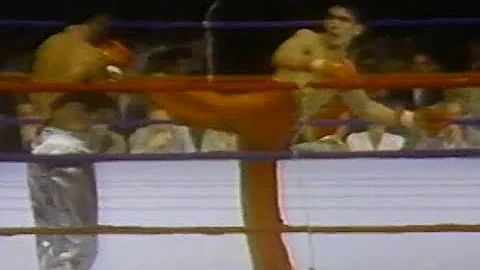 Don Wilson vs Dennis Alexio 3-29-84