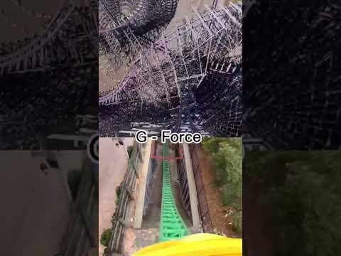 Iron Gwazi Vs. Cheetah Hunt #buschgardens #tampa #rollercoaster #velocity