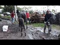 Stranded horses rescued from Guatemala’s Fuego volcano eruption ‘ground zero’