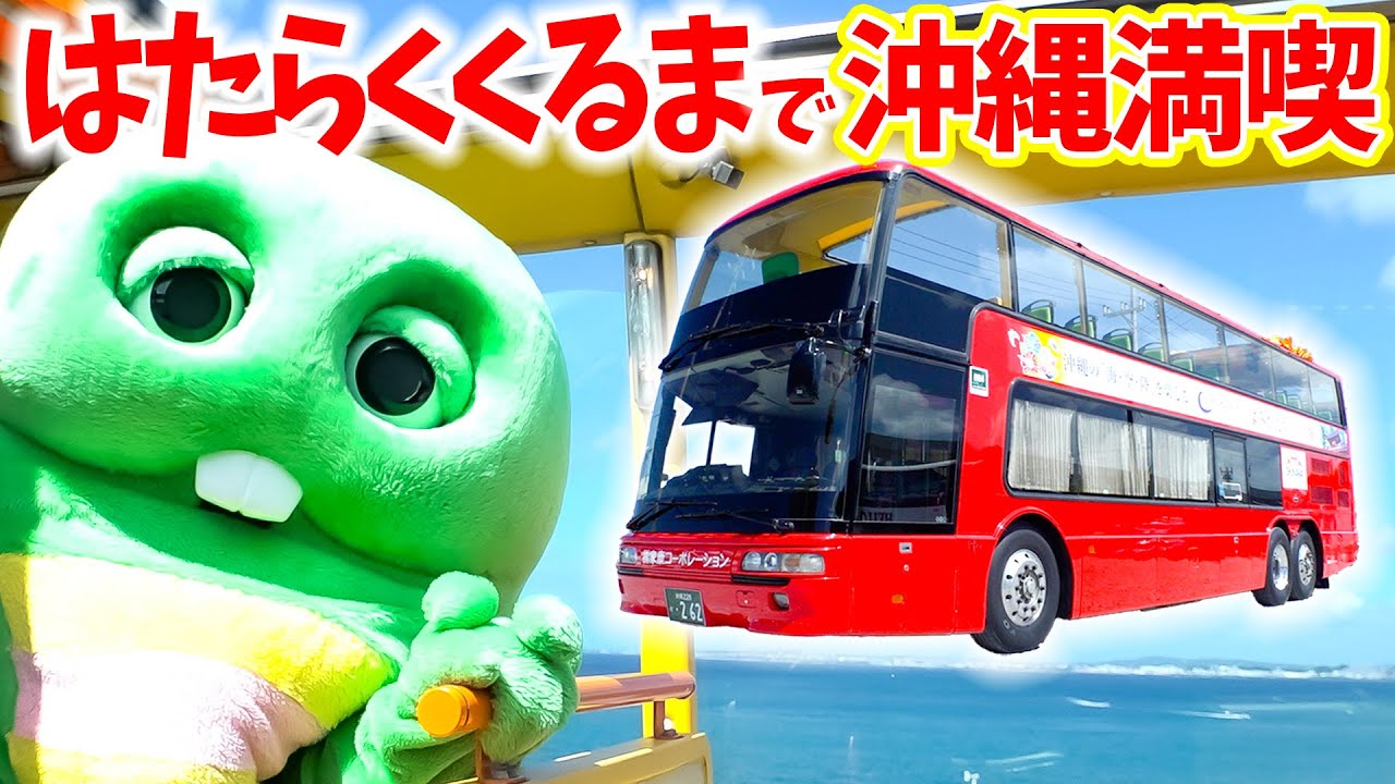 【はたらくくるま】沖縄に１台しかないオープントップバスに乗って沖縄の街を観光したよ！【沖縄旅行】#はたらくくるま #沖縄 #オープントップバス #観光 #旅行