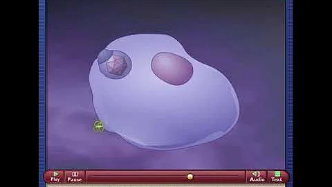 Antiviral Activity of Interferon