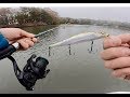 Slaying GIANT Speckled Trout in Virginia Beach - Speckled Trout HOW TO