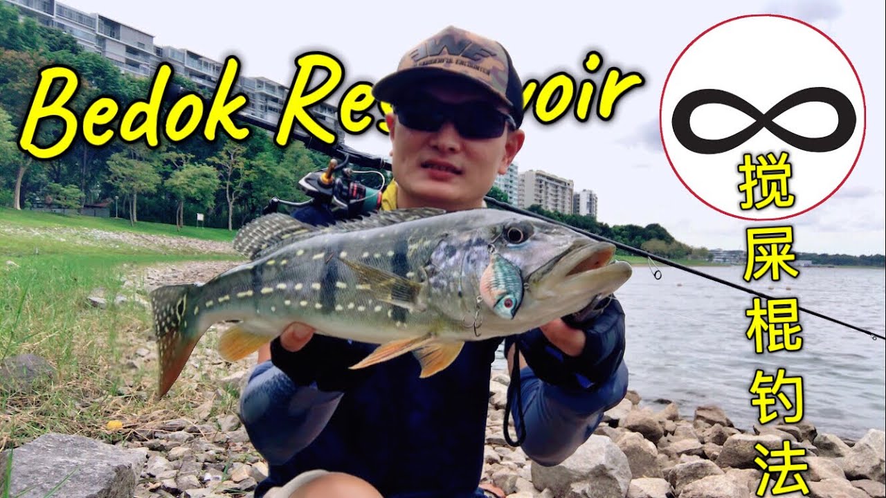 Bedok Reservoir Lure Fishing Figure 8 Method 勿落蓄水池钓鱼， 另类钓法 之 搅屎棍，钓友说