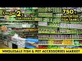 Kolathur Fish Market | Cheapest Fish Foods & Accessories | Cheapest Imported Fish Tanks  | Aquarium