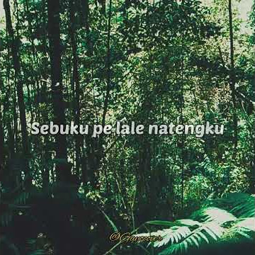 story whatsapp Lagu gayo cover   Lirik//Retak-Mera Lida #lagugayo #storywa #shorts