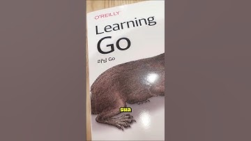 Por que o Google criou a sua própria linguagem de programação?