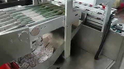 Automatic strip packing machine&Cartoning machine