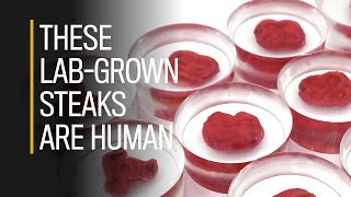 These lab-grown steaks are human