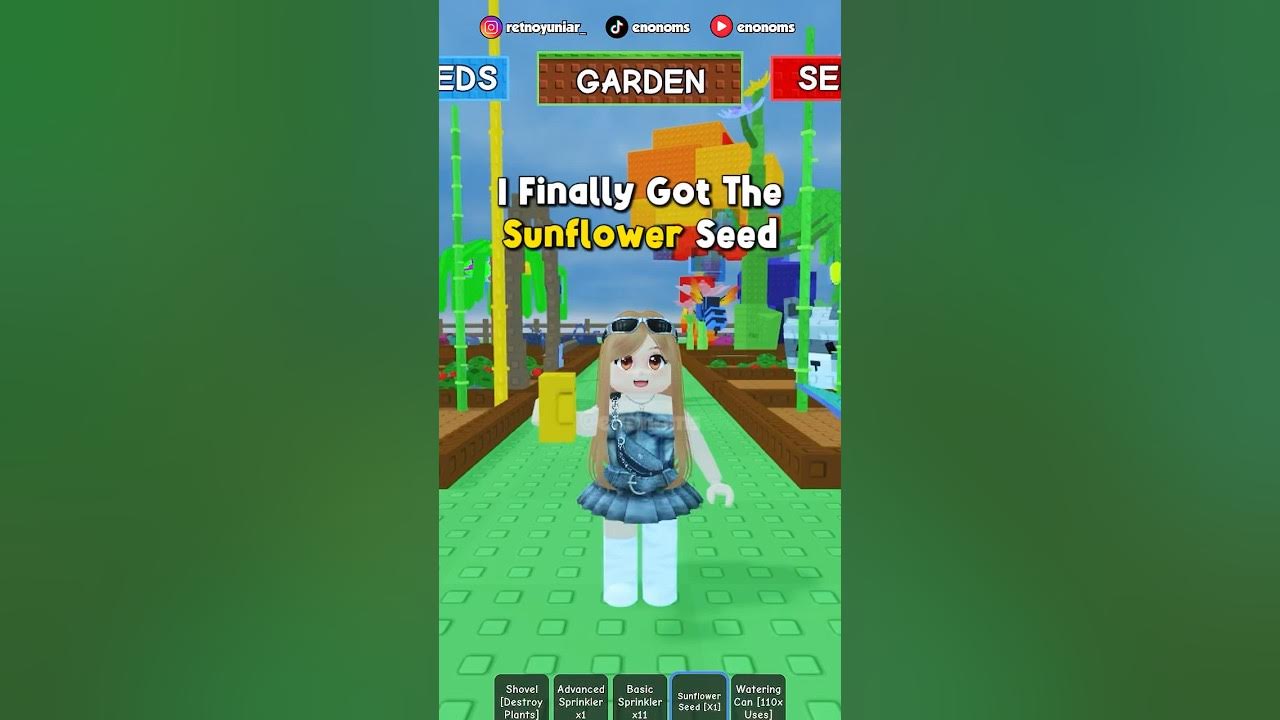 Omg aku dapat bibit sunflower! π» #roblox #robloxindonesia #growagarden #sunflowerseed Omg aku dapat bibit sunflower! π» #roblox #robloxindonesia #growagarden #sunflowerseed
