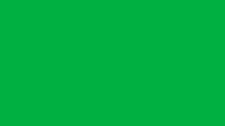 1 minute of Blank Green Screen in 4K