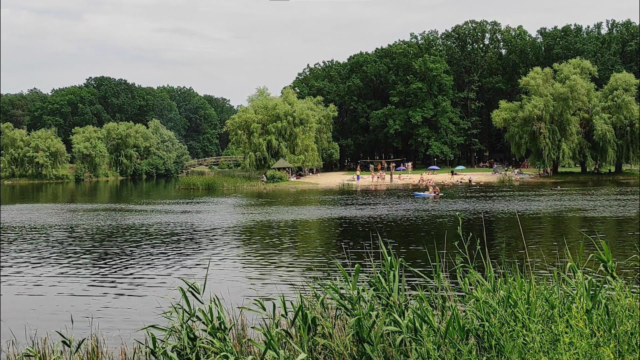 "Форест парк" | Озеро в лесу