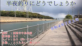 夏休みの夜釣りはここに決まり！エギングやシーバスにどうですか？　姫路市中島埠頭　令和４年７月上旬