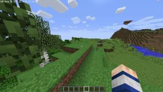 Minecraft on Core 2 Duo E7300 And GT 710 (Benchmark)