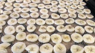 Dehydrating Bananas