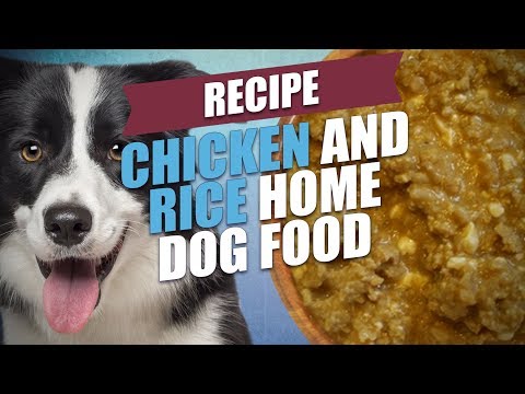 chicken-and-rice-home-dog-food-recipe-(healthy)