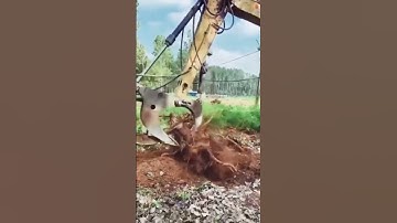 Tree roots removing process. Good Tools And Machinery Make Work Easy. #treeage #treegrowth #ytshorts