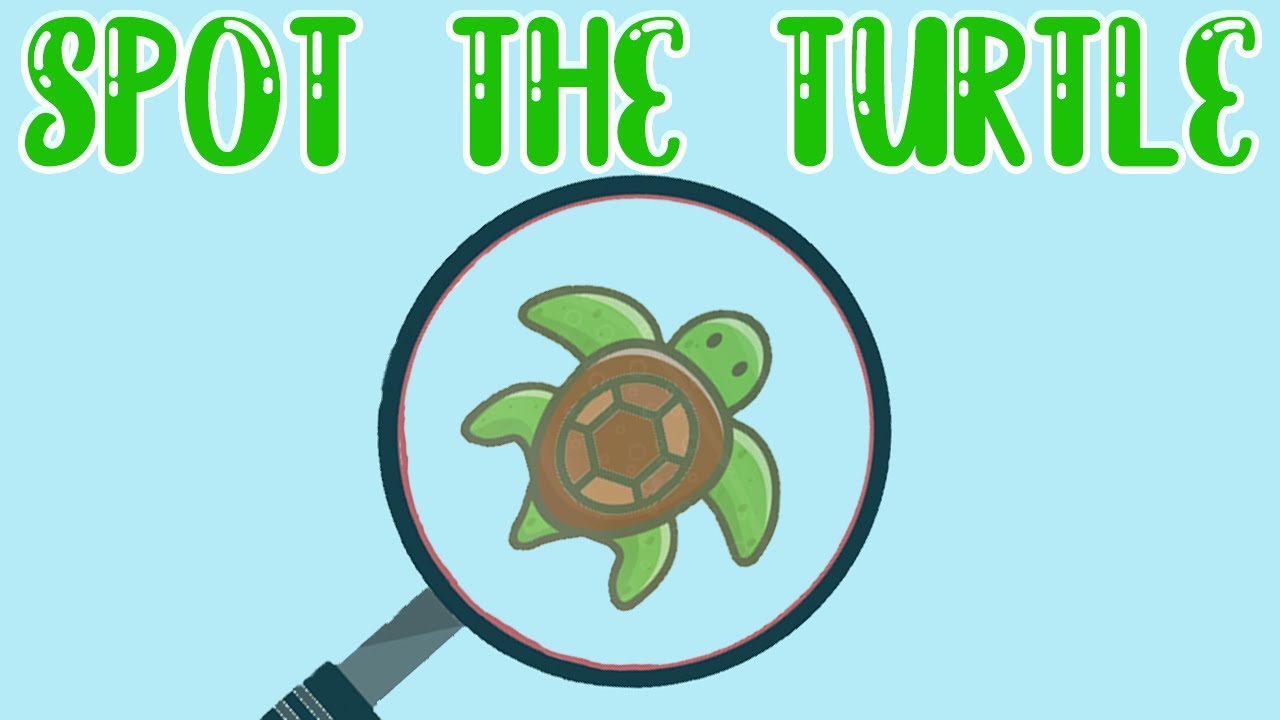 Can You Spot The Turtle Quiz Diva Answers 30 Questions Youtube - oprewads.com roblox