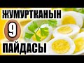 Жумуртканын 9 пайдасы / таң калычтуу / пайдалуу кеңештер