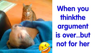 50 Hilarious Memes To Both Heal You And Make You Worse, Courtesy Of ‘Animal Memeposting’ (NEW) by oscardramirez 3,278 views 4 months ago 8 minutes, 4 seconds