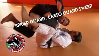 Spide Guard, Lasso Guard sweeps / Guard aranha raspagens