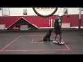 Training your dog with no equipment or food.