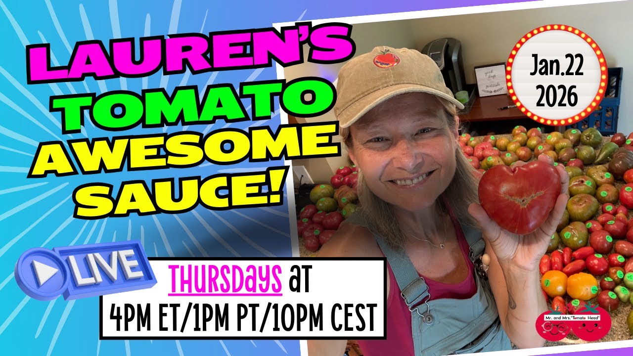 Lauren's TOMATO Awesomesauce!!-January 22, 2026