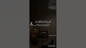 سورة المؤمنون #القرآن_الكريم   تلاوة خاشعة #المصحف #اكسبلور