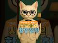 아는 척 안 하는 고양이 이유는?#Shorts#철학#고양이 #시크냥#집사공감#명언
