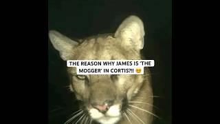 Hes Got The Joker Visualss