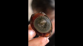 1000 Year Old Egg Chinese Century Egg