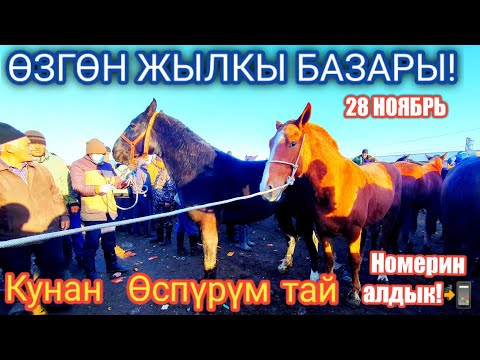 Video: Өспүрүмдөр - бүчүрлөр