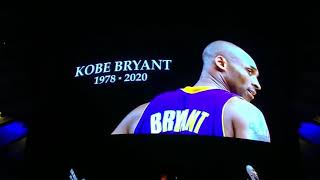 6 Rings - Bad Bunny (Tributo Kobe Bryant)