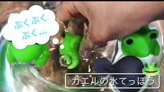 かえるの水てっぽう