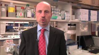 Myelodysplastic Syndrome Treatment - Mayo Clinic