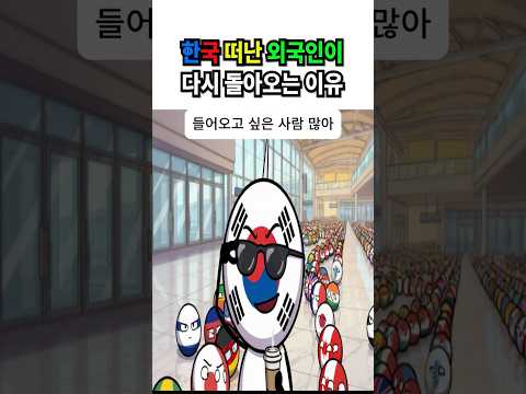 한국 떠난다던 외국인들이 다시 돌아온 이유 🇰🇷