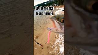 🪱 Worms  = 🎣 Trout | Big Bear Lake Fishing
