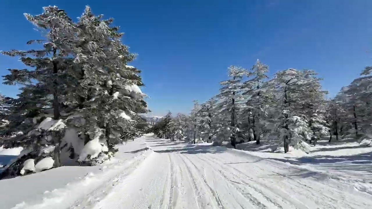 2026志賀高原渋峠