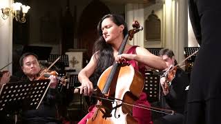 Excerpt from Tchaikovsky Variations on a Rococo Theme; Nelly Rocha, Cello