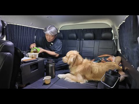 津波警報発令で逃げる!何気ない日常から突然の避難生活へ。【Golden Retriever japan】