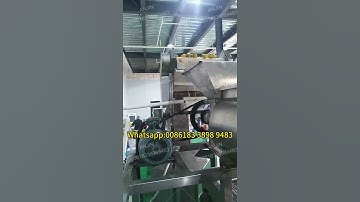 Automatic Mango Pulping Machine Denuclear Beating Machine  #foodmachinery