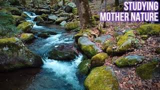 Gaining Inspiration From The Smokey Mountains & Redwood Falls