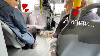 버스 안을 훈훈하게 만든 강아지의 행동  강아지와 유럽여행 (8)