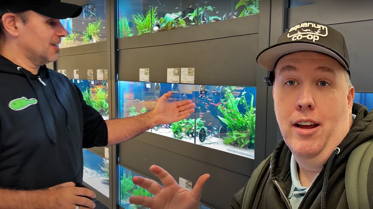 Exploring Tons of Fascinating Fish Species at Aquarium Store in Germany Zoobox Tour