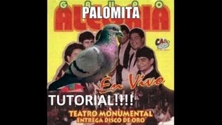 Video voorbeeld van "Tutorial | Palomita - Grupo Alegría"