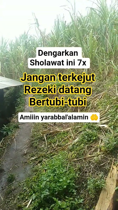 dengarkan sholawat ini 7x #sholawat #sholawatmerdu #pembukapinturezeki #shortvideo