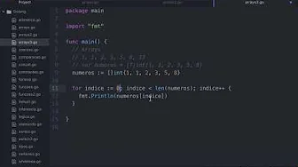 cursos/0010-aprenda-golang: Como Acessar Elementos de Array e Usar For Loop Para Mostrar Cada Valor
